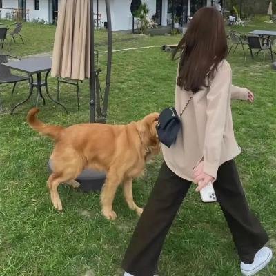 暗室疑云